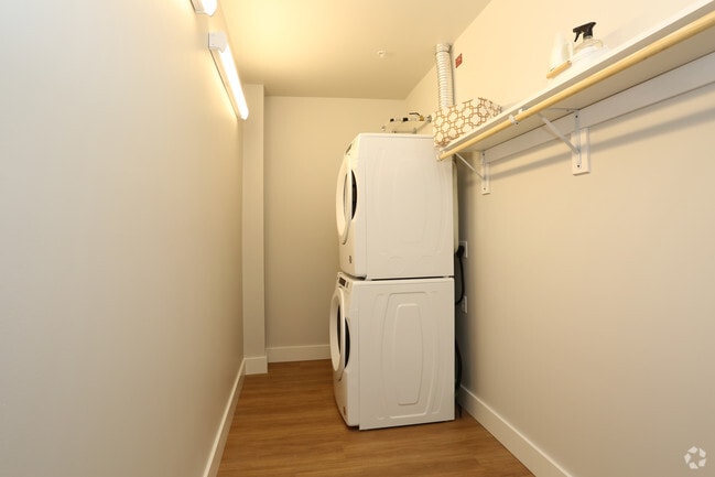 1T Laundry - Plankinton Clover