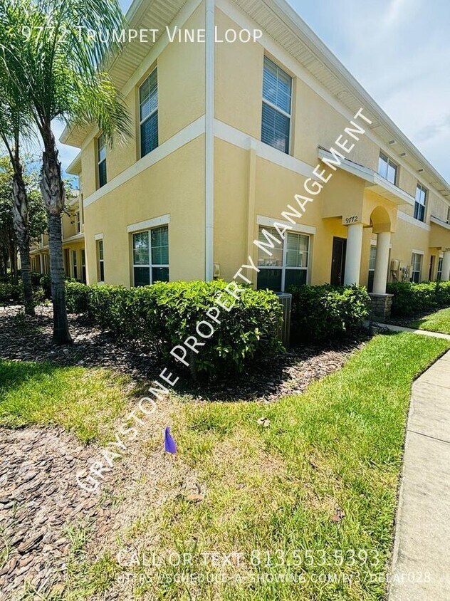 9772 Trumpet Vine Loop, Trinity, FL 34655 House Rental in Trinity, FL