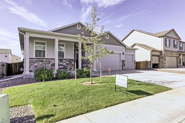 Foto del edificio - 3 Bedroom 2 bath Ranch in Windsor