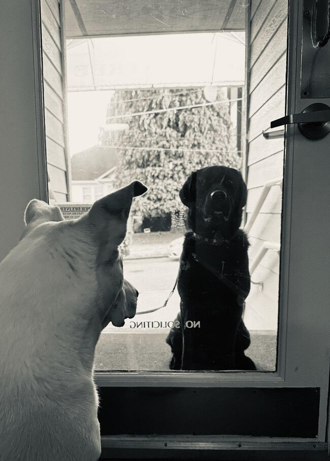 Foto del edificio - 7100 Greenwood Ave N