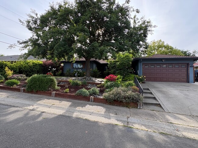 Photo - 6048 Holstein Way House