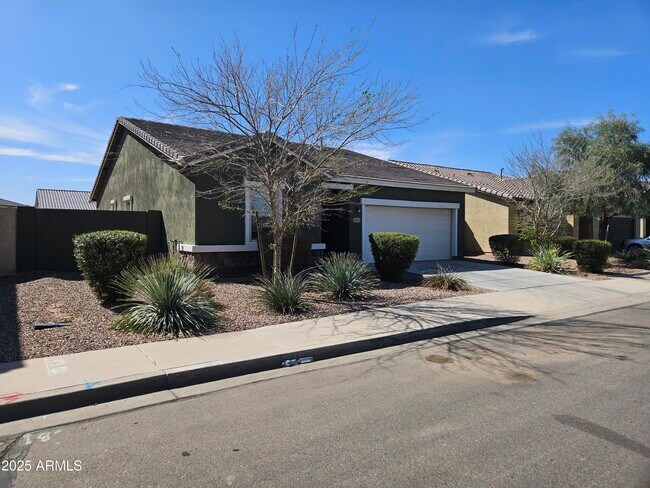 Building Photo - 36905 W Mattino Ln