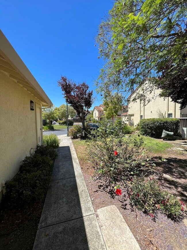 Foto del edificio - 388 Meadowhaven Way