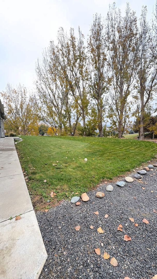 Building Photo - Spacious 3 Bed, 2 Bath Home with Shop & Stunning River Views – Clemans Addition