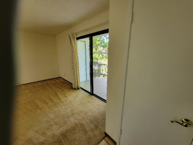 Building Photo - 606 San Conrado Terrace