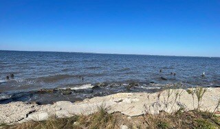 Foto del edificio - 1537 Belangia Rd