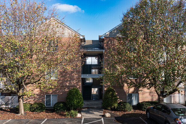 Building Photo - Green Of Forest Park Condominiums