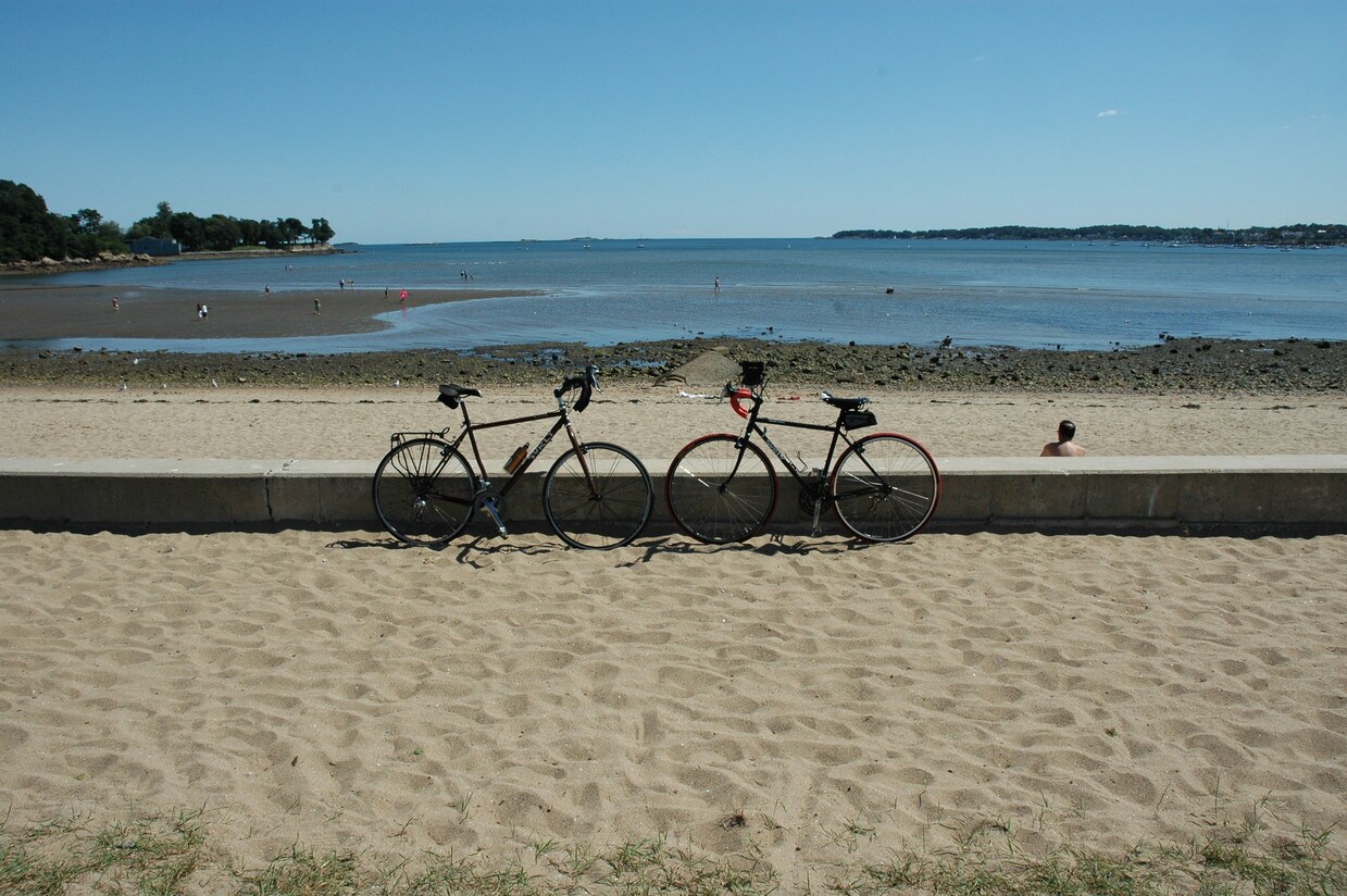 Danés Street Beach en el umbral de tu puerta. - 137 Lothrop St