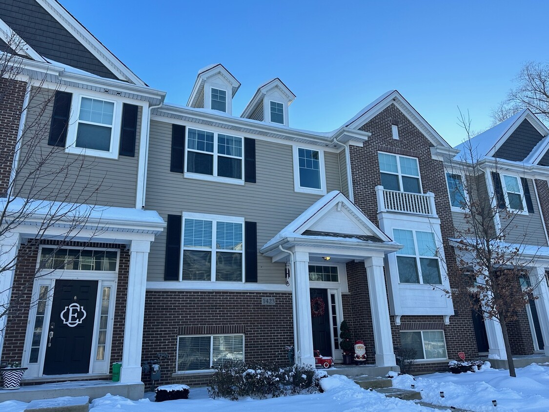 1423 N Charles Ave, Naperville, IL 60563 - Townhome Rentals in ...