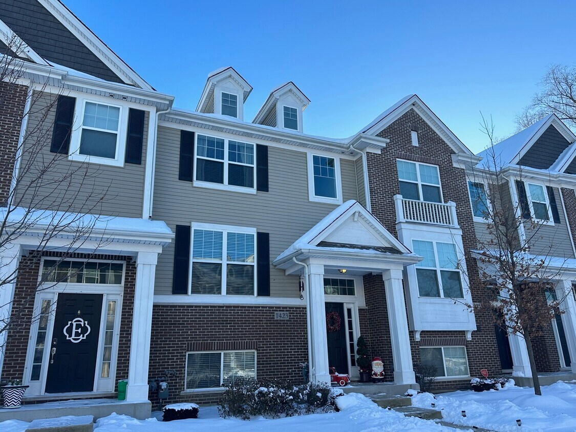 1423 N Charles Ave, Naperville, IL 60563 Townhome Rentals in