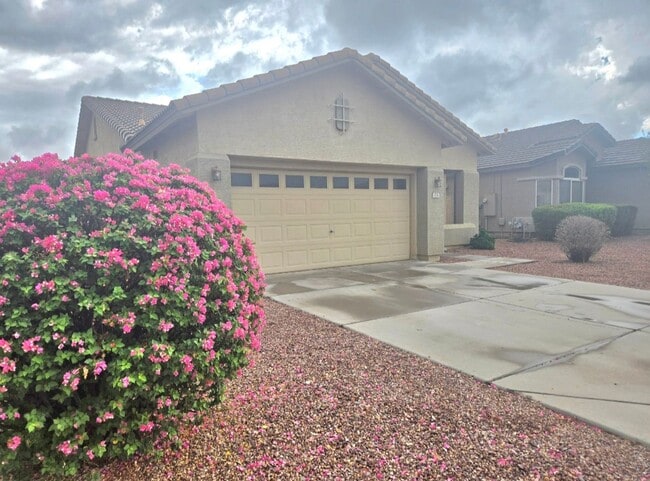 Building Photo - 4 Bedroom / 2 Bath Single Level Home in Coldwater Springs Community of Avondale! Golf, Entertainm...