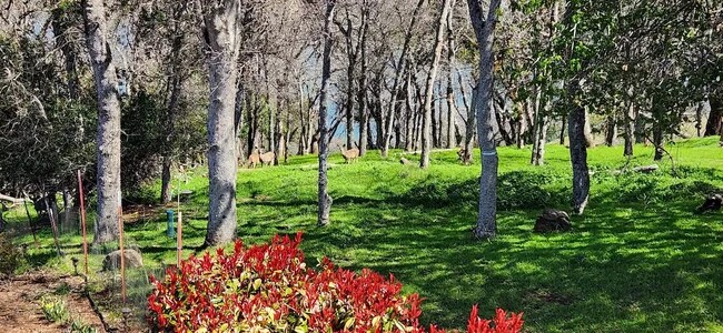 Terreno baldío al lado - 2844 Marina View Dr