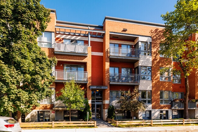 Les Cours Harvard & Oxford