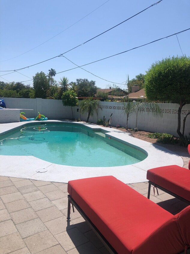 Pool - 1209 E Campus Dr