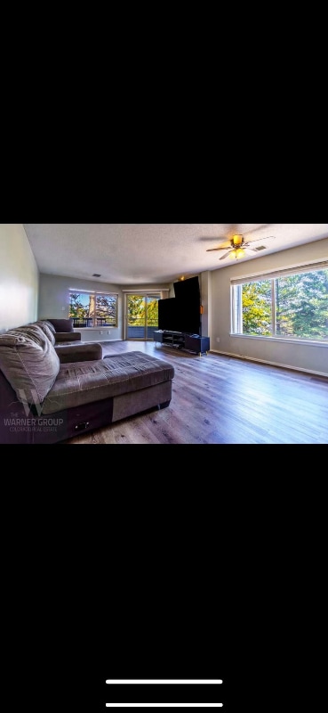 Building Photo - 3684 Iguana Dr