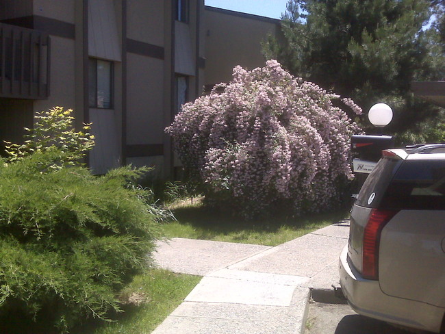 Foto del edificio - Valley Pines Apartments