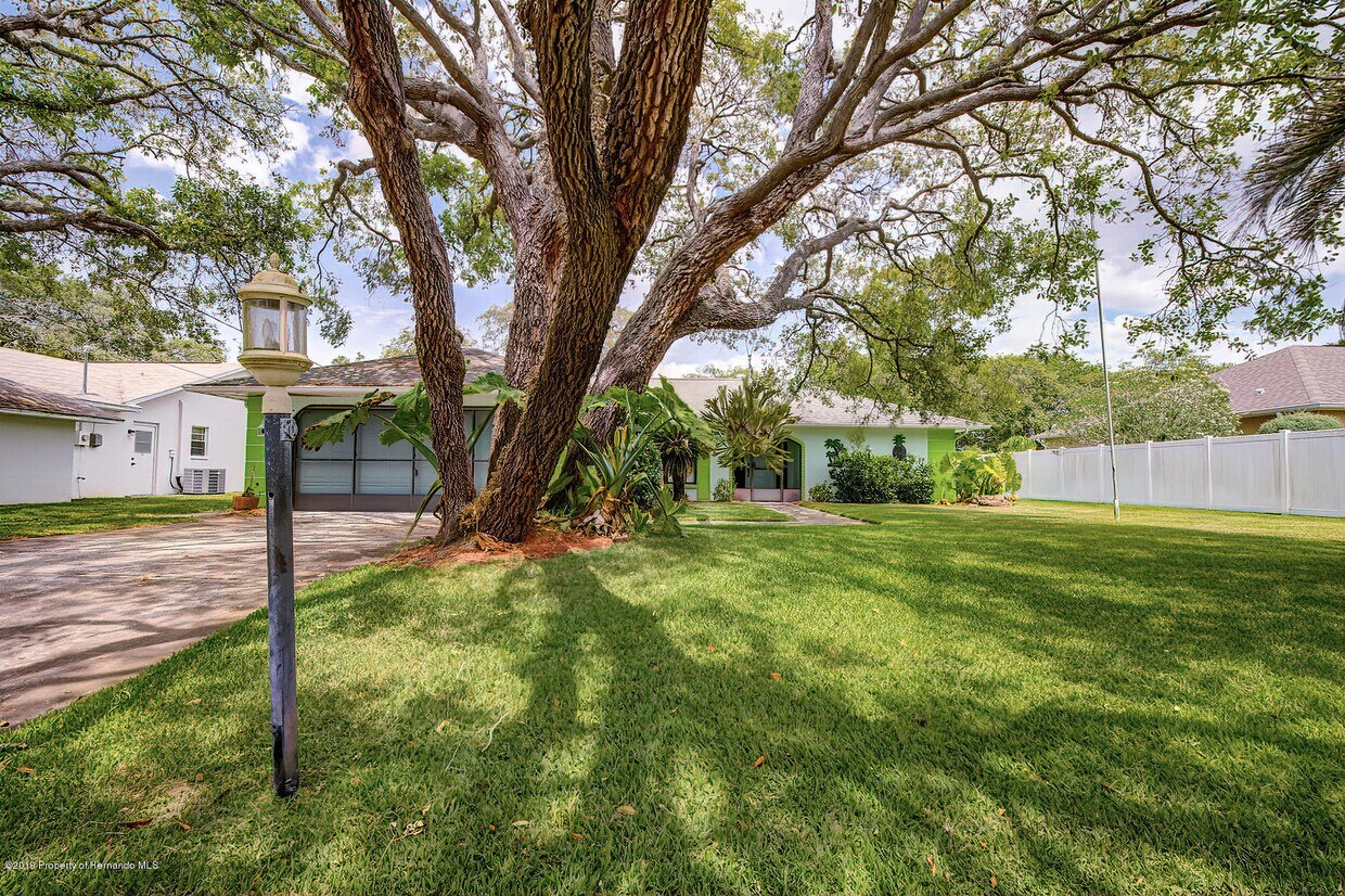 2166 Cottondale Ave, Spring Hill, FL 34608 House Rental in Spring