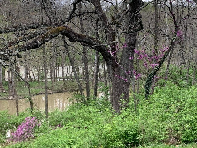 Building Photo - 7049 Riverside Dr