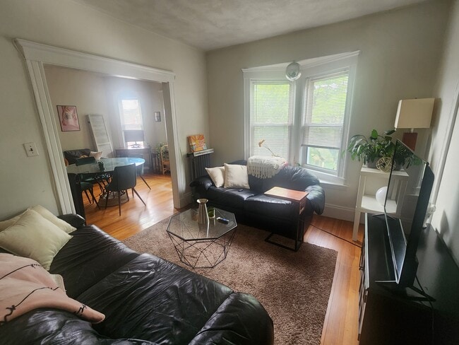 Living/TV - 42 Belknap St