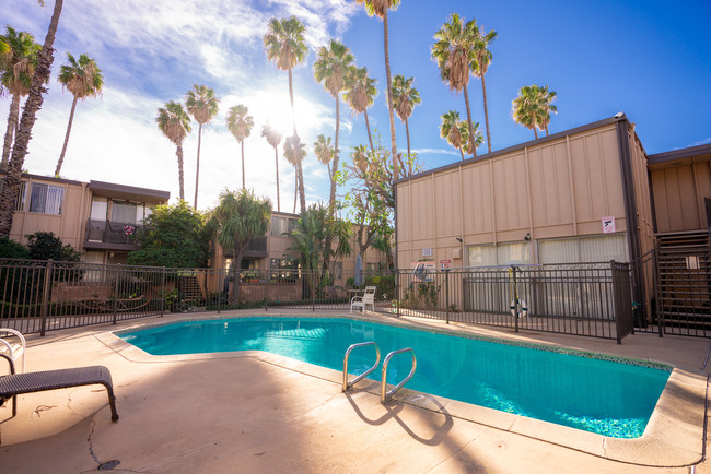 Pool - Balboa Palms Apartments