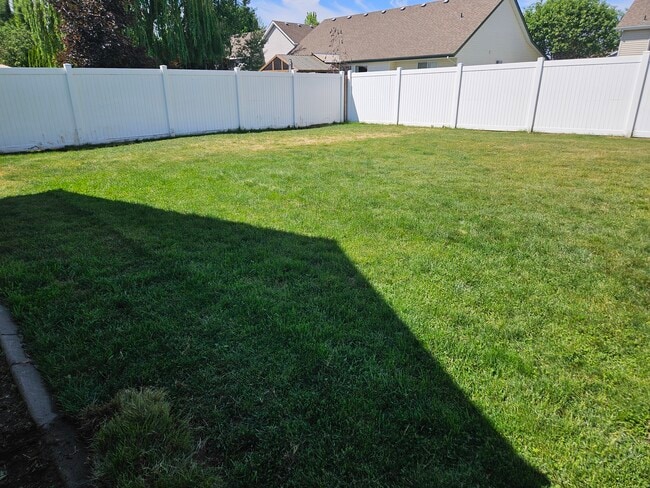 large back yard - 2943 W Blueberry Cir