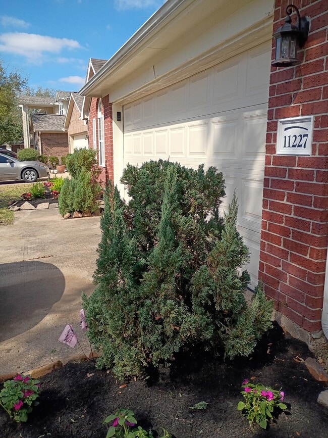 Building Photo - 11227 Agave Ridge Ln