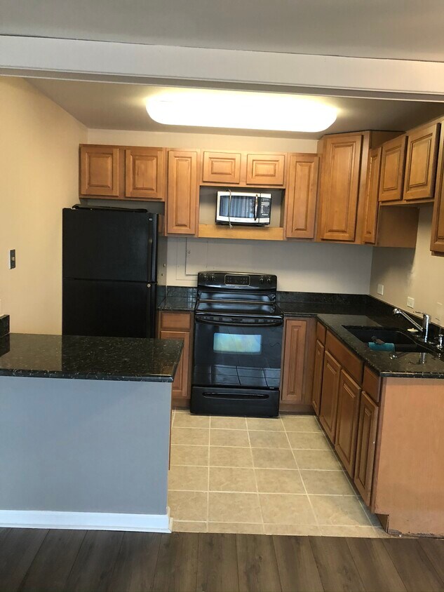 6730 S South Shore Dr Unit 205, Chicago, IL 60649 Condo for Rent in