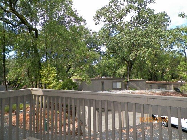 Building Photo - 14 Arrowhead Ln