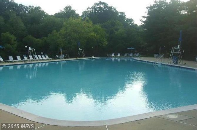 Olympic size pool - 15702 Dorset Rd