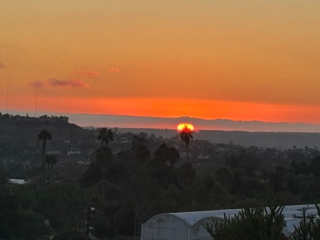 Foto del edificio - 315 Osborne St