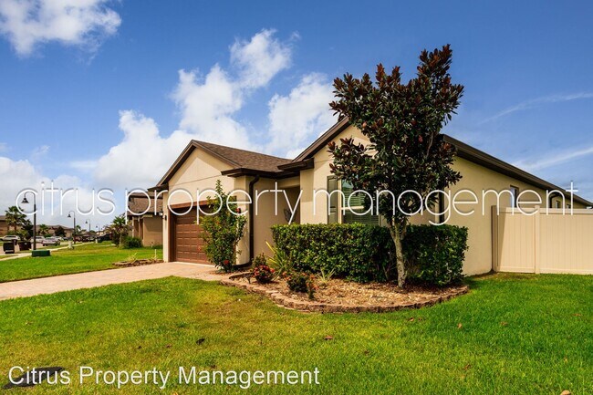 Foto del edificio - 3 br, 2 bath House - 3946 Baja Drive