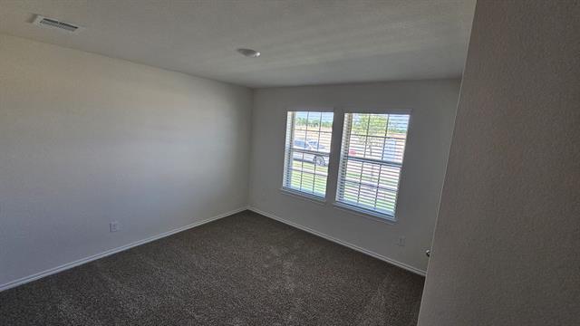Building Photo - 4116 Amethyst Dr