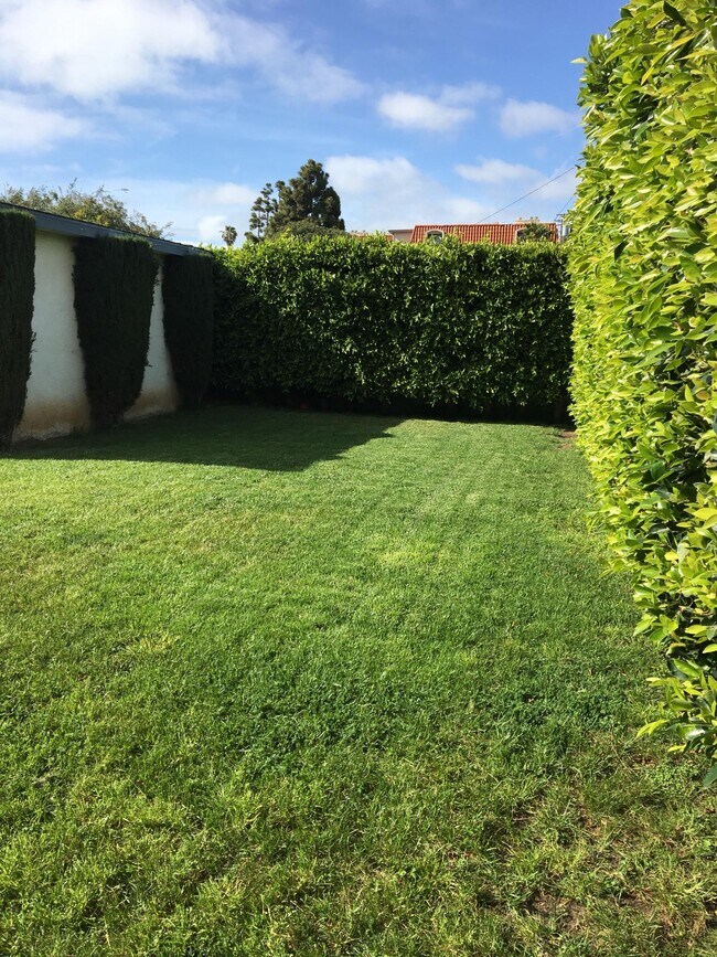 Beautiful large shared backyard - 117 W Sycamore Ave