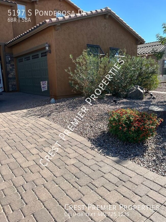 Upscale Home in Bridges at Gilbert House Rental in Gilbert, AZ