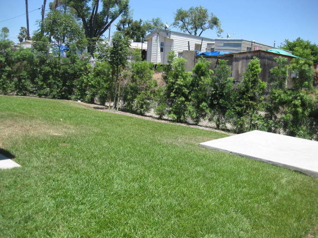 Building Photo - 411 Emerald Ave