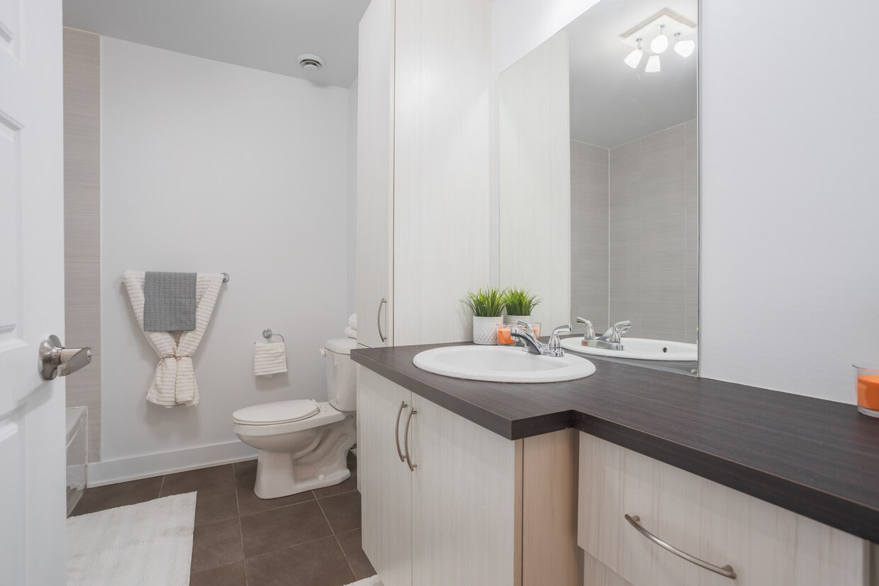 Photo du bâtiment - Les Berges du Canal