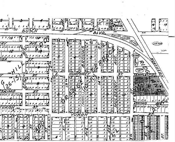 Primary Photo - KAIN Estate