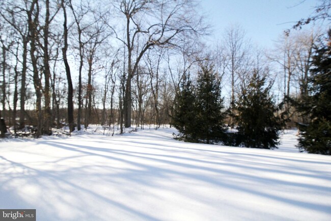 backyard - 318 Walden Cir
