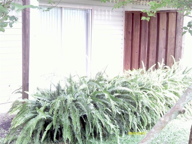 Foto del edificio - 3210 Pleasant Valley Rd