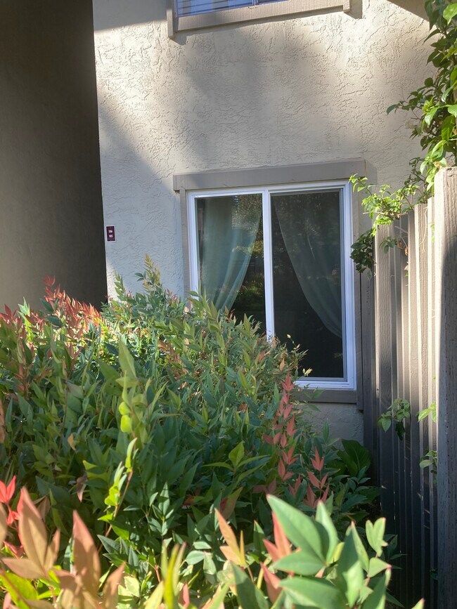 Lower unit - 1241 Homestead Ave