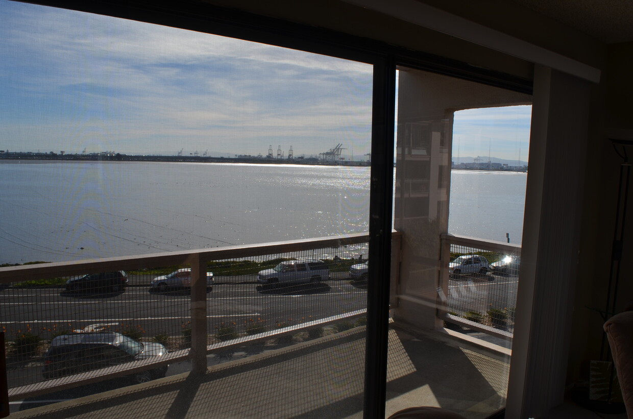 Foto principal - Large 1 bedroom 1 bath with an Amazing Bay...