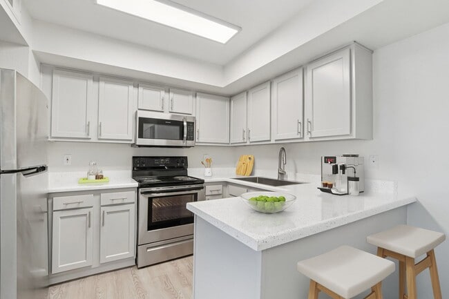 Interior Photo - The Morrison Apartments