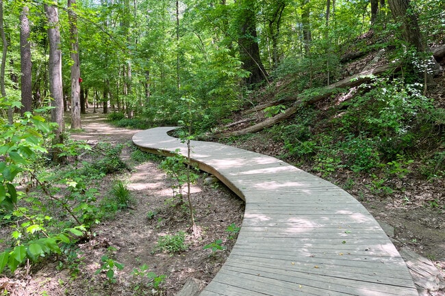 Boardwalk winds through Blue Heron Nature Preserve in North Buckhead.