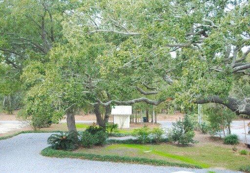 Building Photo - 5205 E Belle Fontaine Dr