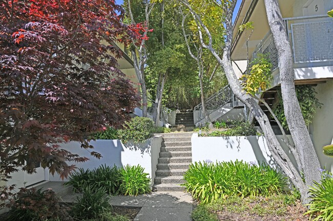 Foto del edificio - 105 Belvedere Dr