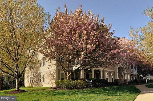 Foto del edificio - 13103 Millhaven Pl