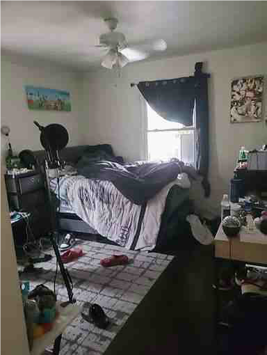 Foto principal - 2550 Denmead St
