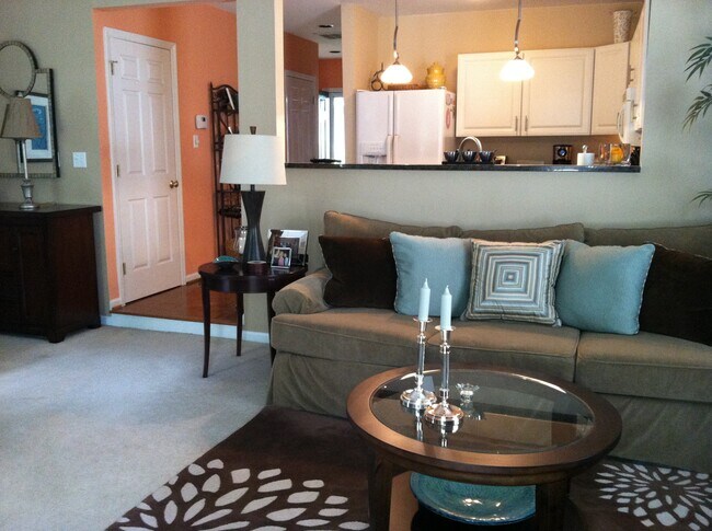 Living room - 3806 Selwyn Farms Ln