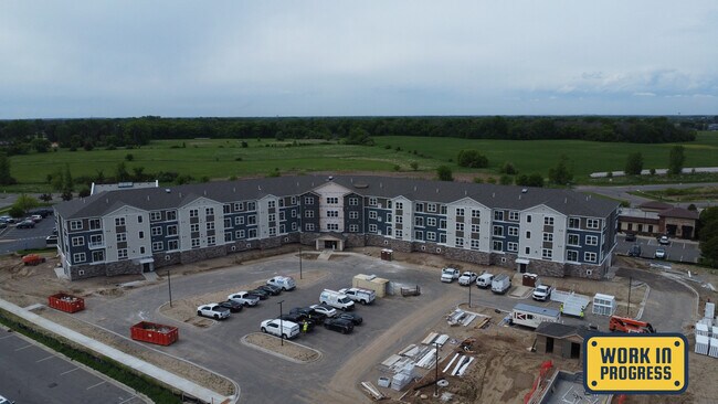 Trabajo en progreso - Forest Creek