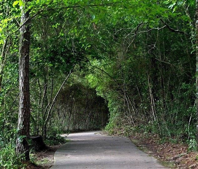 The Woodlands is aptly named, offering more than 111 parks and 160 miles of pathways